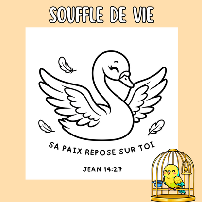 Souffle de Vie : 50 pages de coloriage chrétien PDF